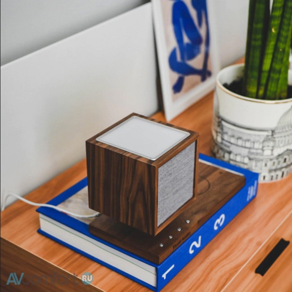 Tivoli Audio Revive Walnut