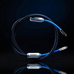 Siltech Classic Legend 880i RCA 2,5 m