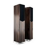 ACOUSTIC ENERGY AE 509 Walnut