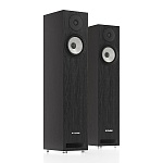 Pylon Audio Ruby 20 Black