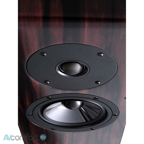 Vienna Acoustics Beethoven Concert Grand SE Rosewood