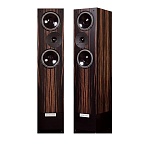 Living Voice Avatar IBX-R4 Ebony