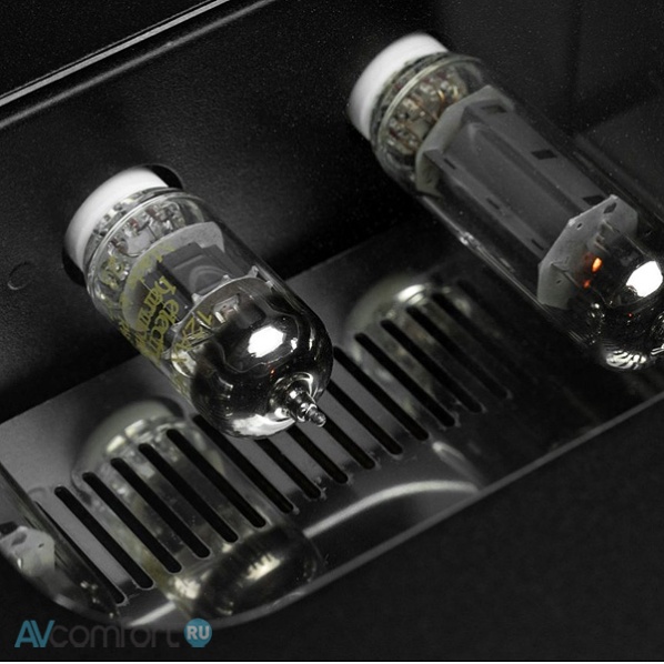 Fezz Audio Ovo EVO Republika