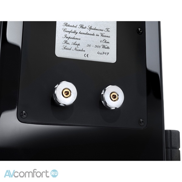 Vienna Acoustics Beethoven Concert Grand SE Cherry