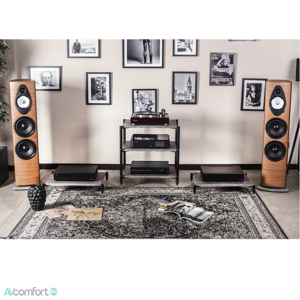 Bassocontinuo Vanguard Sirius 3 Stone Grey