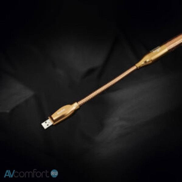 ZenSati Angel Digital USB 2,0 м