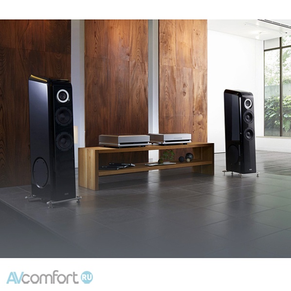 TAD DA1000-TX Silver (TAD-DA1000TX-S) TAD DA1000-TX Silver (TAD-DA1000TX-S)