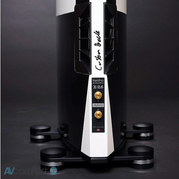 Raidho Acoustics X2.6 Limited Collection