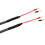 Tchernov Cable Special 2.5 SC Bn/Bn 3.1 m