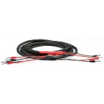 BLACK RHODIUM Iris Single Wire 2,5 м