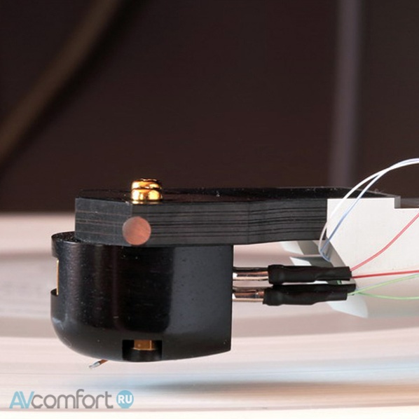 Miyajima Laboratory Destiny Miyajima Laboratory Destiny