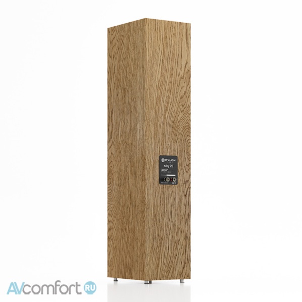 Pylon Audio Ruby 20 Dark Oak
