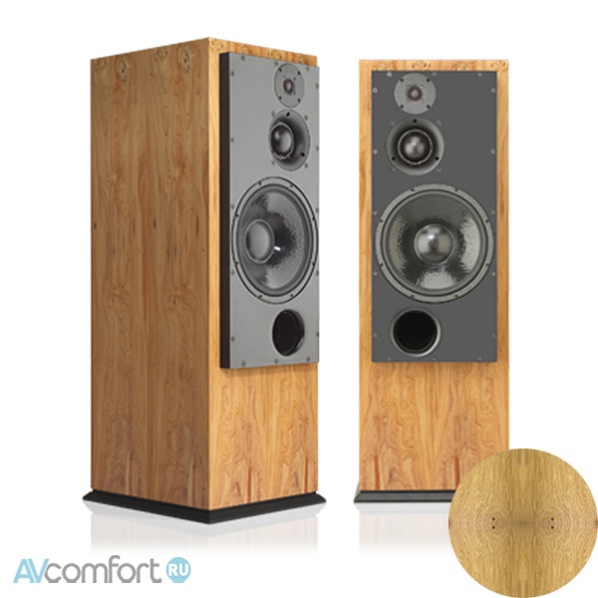 AVComfort, ATC SCM100 SLT Pippy Oak