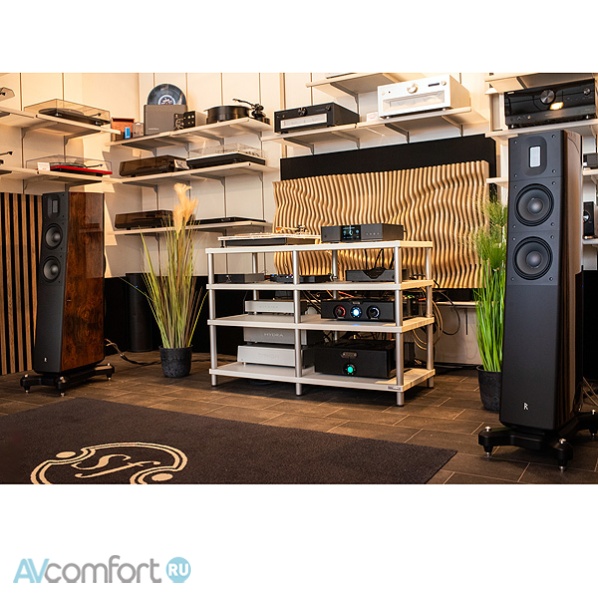 Raidho Acoustics TD2.2 Walnut Burl