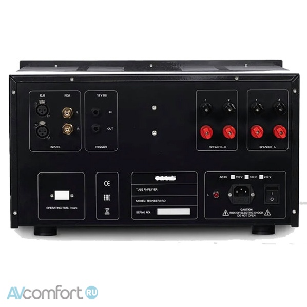 S.A.Lab Thunderbird Stereo Power Amplifier