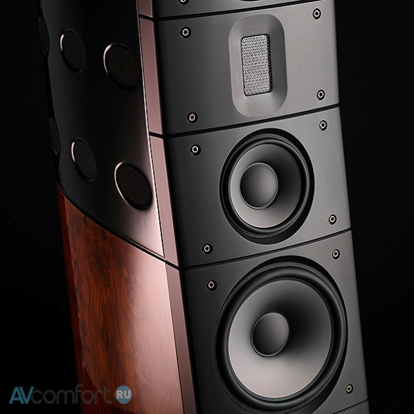 Raidho Acoustics TD6 Walnut