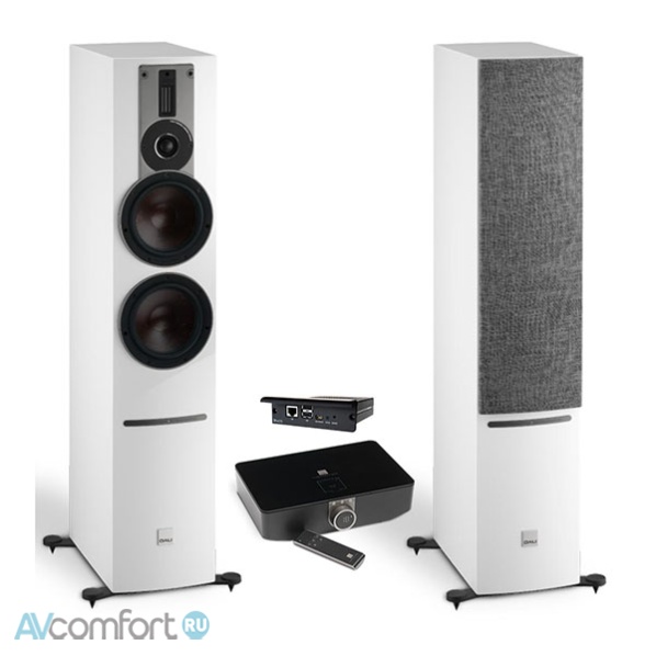 AVComfort, DALI Rubicon 6 C White High Gloss Lacquer + Sound Hub + BluOs Module