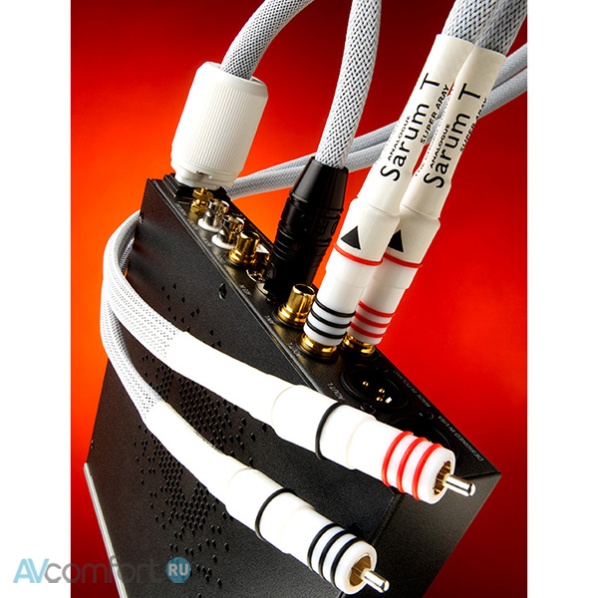 Chord Company Sarum T Super ARAY Power 1.0 m