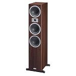 Magnat Tempus 77 Mocca