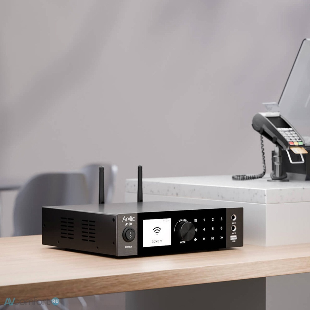 Arylic A100