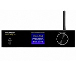 Premiera Mini Amp XL Silver