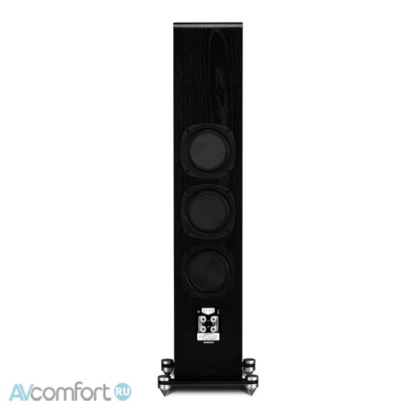 Quad S-5 Black Gloss