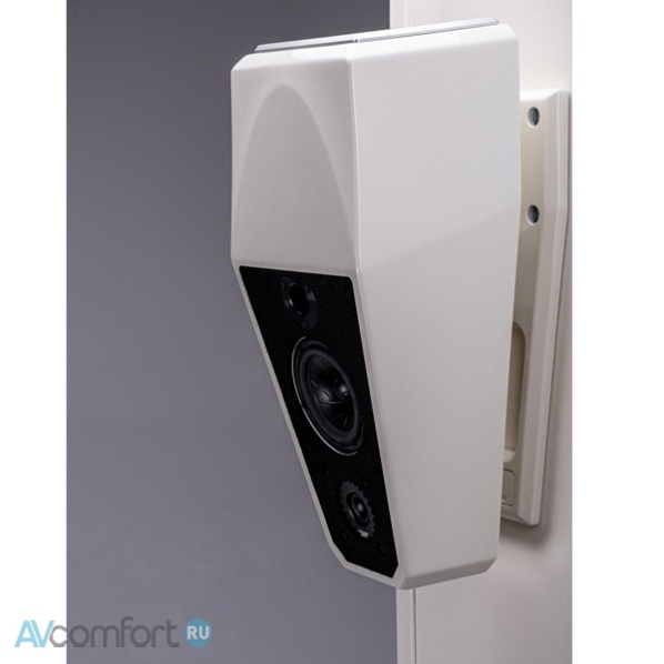 Wilson Audio Alida CSC Premium Colour