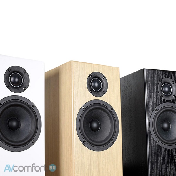 Totem Acoustic Bison Twin Tower Black Ash Totem Acoustic Bison Twin Tower Black Ash