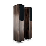Acoustic Energy AE 509 Walnut