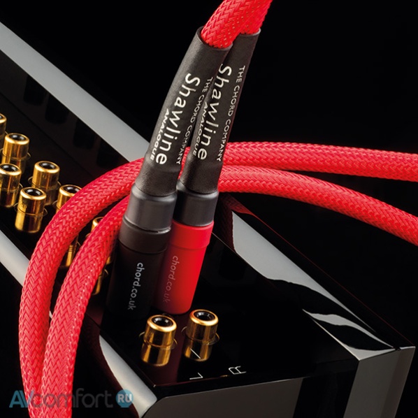 Chord Company Shawline Analogue RCA 1.0 m