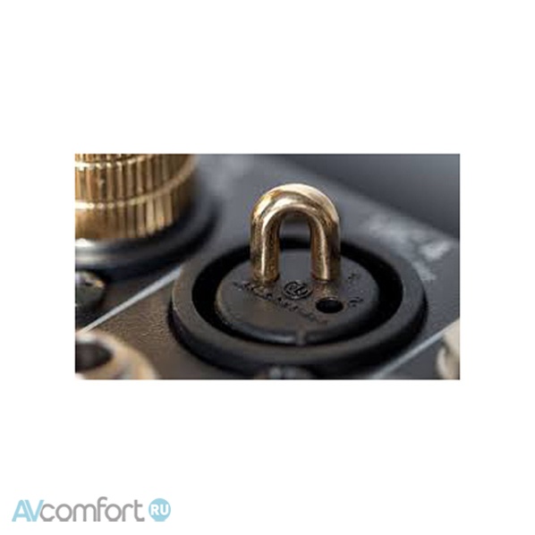 Cardas Audio CGSP