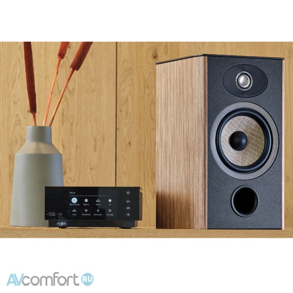 Focal Aria Evo X N1 Prime Walnut