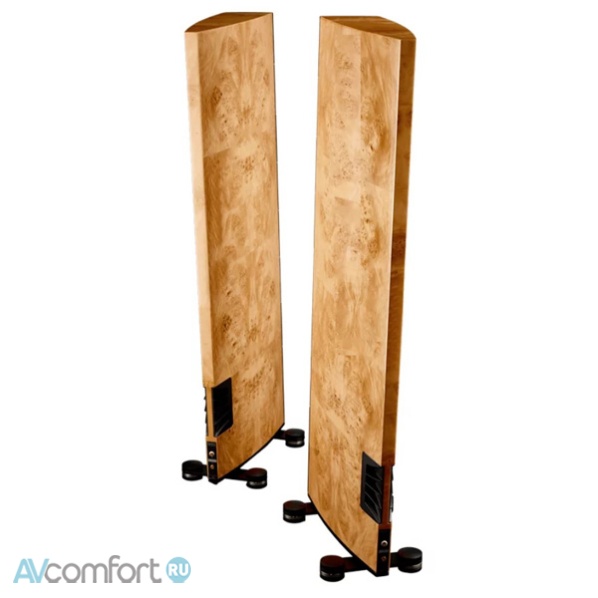 Raidho Acoustics X2T Black