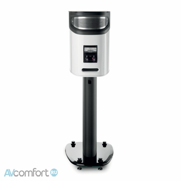 Focal Sopra N°1 Macassar