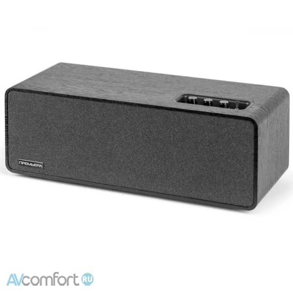 Premiera ES-422A Black