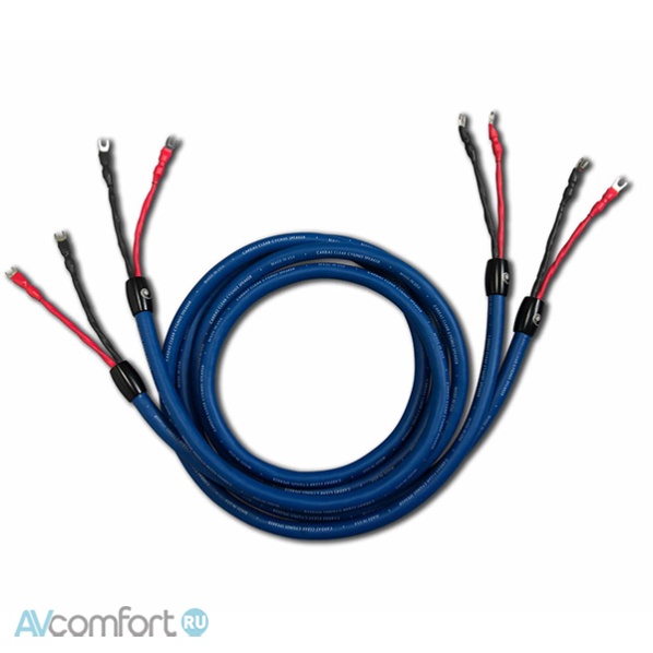 AVComfort, CARDAS AUDIO Clear Cygnus 3,0 m Banana