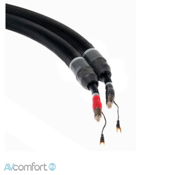 AVComfort, Purist Audio Design Ferox Dominus Phono Luminist Revision RCA-RCA 1.2 m