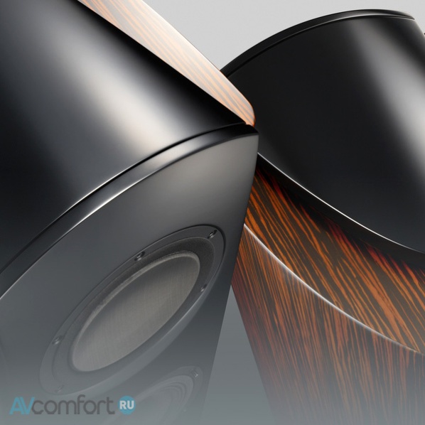 TAD Evolution One Piano Black