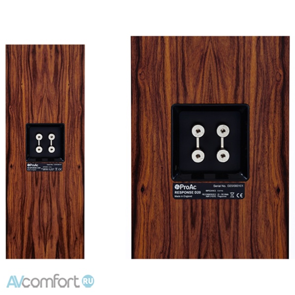 PROAC Response D20R Light Oak