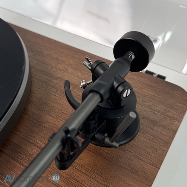 Phaze Audio Diana Mk2 Walnut