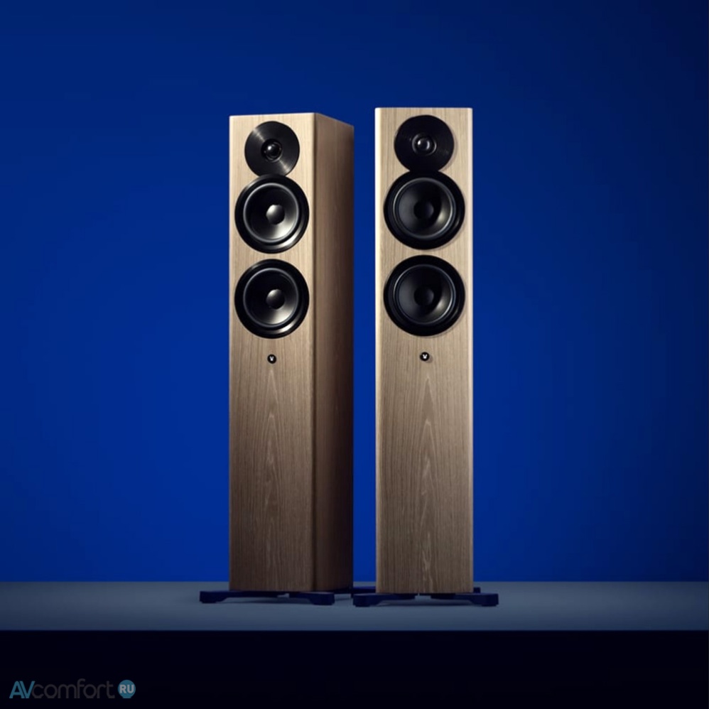 Dynaudio Focus 30 Blonde Wood
