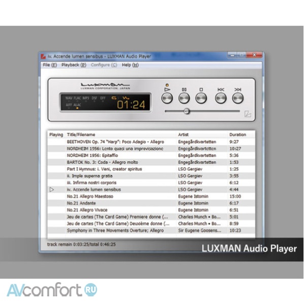 Luxman D-10X Silver