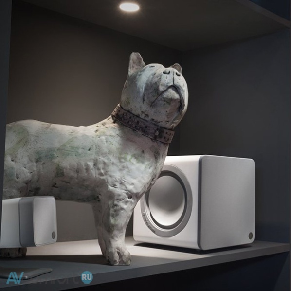 Cambridge Audio X201 Gloss Black