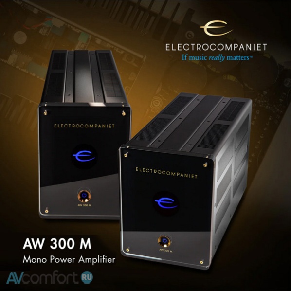 Electrocompaniet AW 300 M