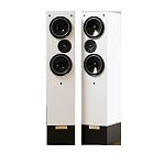 Living Voice Avatar IBX-R4 Flat White
