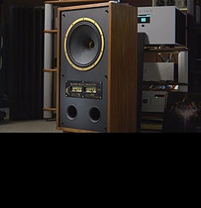 Любимая акустика Борзенкова: Tannoy Super Gold Monitor 12