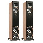 MARTIN LOGAN Motion F20 Walnut