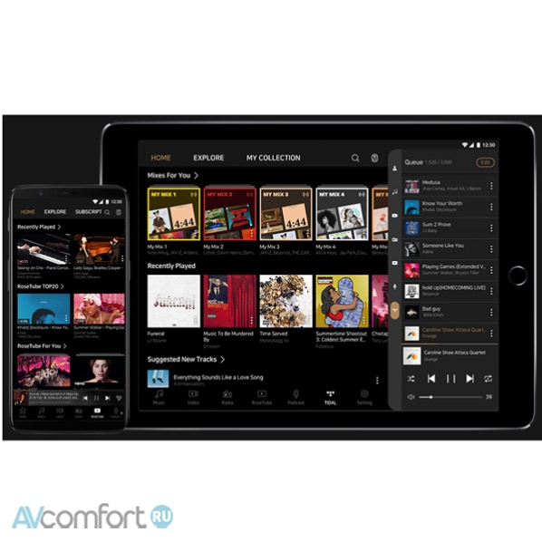 HiFi Rose RS201E Silver