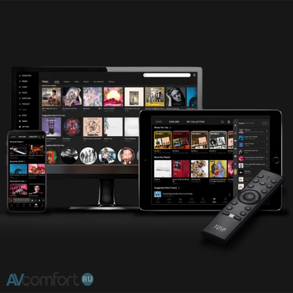 HiFi Rose RS250 Silver