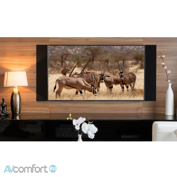 Paradigm Decor 2S (90-130 дюймов)